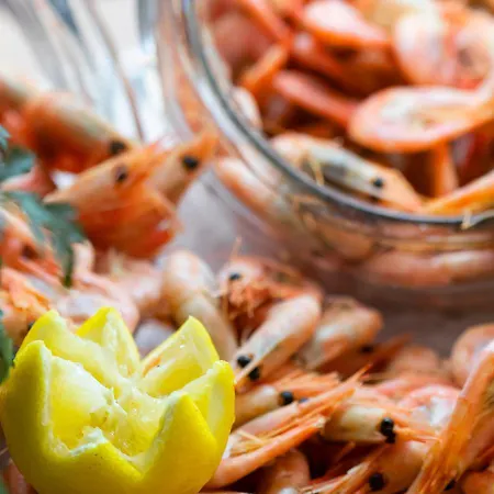 Viking Line Ferry Viking Grace - One-way Journey From To Stockholm  *